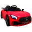 gtr s punane 4.jpg